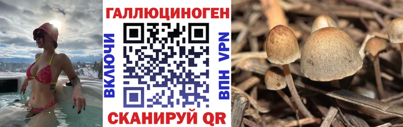 Галлюциногенные грибы мухоморы  kraken сайт  Артёмовский  продажа наркотиков 